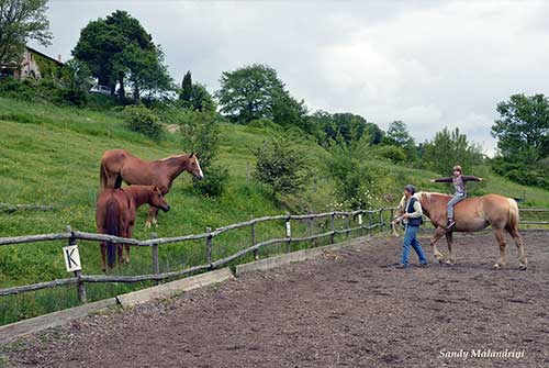 Tutta la famiglia a cavallo