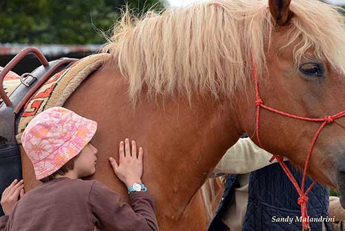 Tutta la famiglia a cavallo