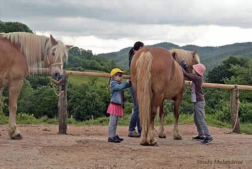 Tutta la famiglia a cavallo