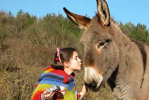 Tutta la famiglia a cavallo