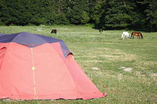 Scuola di Trekking