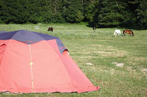 Scuola di Trekking