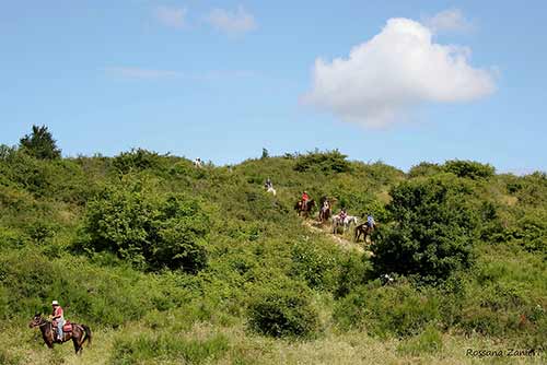 Scuola di Trekking