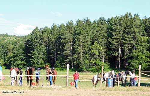 Scuola di Trekking