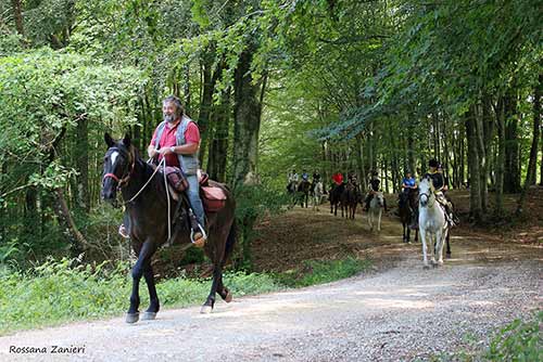 Scuola di Trekking